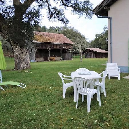Appartement Le Petit Frouas Sud à Vielle-Saint-Girons Extérieur photo