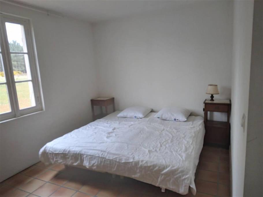 Appartement Le Petit Frouas Sud à Vielle-Saint-Girons Extérieur photo